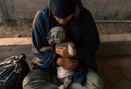 One Small Act At A Pet Store Grew Into A Town-Wide Homelessness Drive After The Owner Saw How Much A Simple Exchange Could Matter