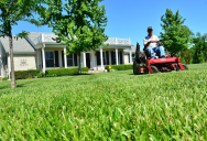 She Insisted Their Yard Didn’t Need A Riding Mower, But Her Husband Responded That She Was Welcome To Handle The Push Mower Herself