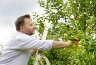 He Only Showed Up When the Fruit Trees Bloomed—Until Three Years of Frustration Erupted