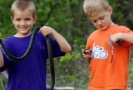 Kids Brought Home a Baby Snake Found Outside—Until She Had to Explain Why It Couldn’t Be Kept as a Pet