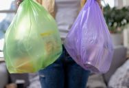 A Teen Guides People To The Right Spot To Dump Their Trash, But His Boss Wants Employees To Stop Being So Picky