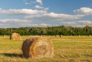 He Turned Down a Farmer’s Proposal. His Property Taxes More Than Tripled