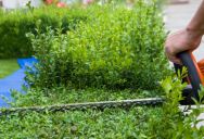 An Army Soldier Was Ordered To Trim The Hedges, So He Found A Way To Make Sure He’d Never Have To Do It Again