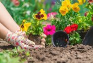 An HOA President Thought The Rules About Flowers Were Ridiculous, So He Found A Clever Way To Make Them Impossible To Enforce