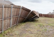 After A Fence Came Down, The Homeowners Chose Not To Rebuild It, So The Neighbor Is Left Footing The Bill