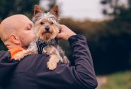 Dog Owner Leaves The Gate To The Dog Park Open, So His Neighbor Asks Him To Close The Gate