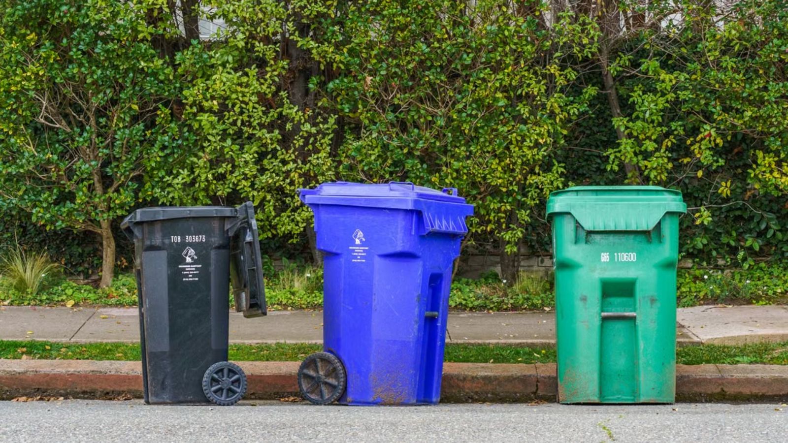 Woman Confronted A Neighbor Over Street Parking, But Shes Afraid To Escalate With A Baby At Home 3 trash bins placed on the street