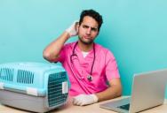 When An IT Guy Was Brought In To Work At A Veterinary Office, They Also Expected Him To Help Patients, Provide Animal Advice, Make Coffee, And More, But When He Wasn’t Good At It, The Bosses Got Upset