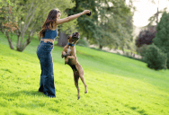 A Woman Grooms Her Dog At Home, But Her Neighbor Demands She Pick Up Every Last Bit Of Fur