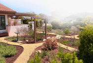 An HOA Board Approved A Plant List Without Reading It Carefully, And One Neighbor Found A Way To Take Full Advantage