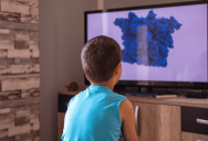 He Keeps Trying To Steer His Little Brother Toward Better Viewing Habits, Yet Their Parents Refuse To Put Limits On What He Watches