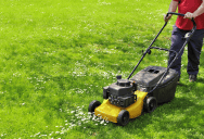 Kind Neighbor Noticed A Couple’s Overgrown Lawn After They Welcomed A Baby, So He Quietly Stepped In And Mowed It For Them