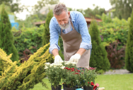 He Was Simply Doing Chores Around His Property, But A Neighbor’s Mistaken Assumption Led To A Playful Introduction To The Woman Of The House
