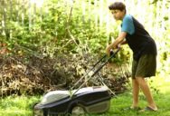 They Forced Him to Mow Through Severe Allergic Reactions—Until He Turned the Lawn into a Desert