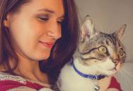 They Took In a Stray Cat. Months Later, a Man Showed Up Claiming the Cat Is His and Wants Him Back