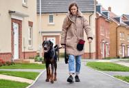 Her Dog Never Stepped Foot on His Lawn—Until a Furious Neighbor Launched an Unprovoked Tirade