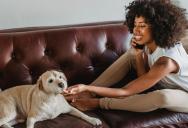 She Watched Her Brother’s Dog Twice A Week For A Year, And Ending It To Go To School Got Her Called Selfish
