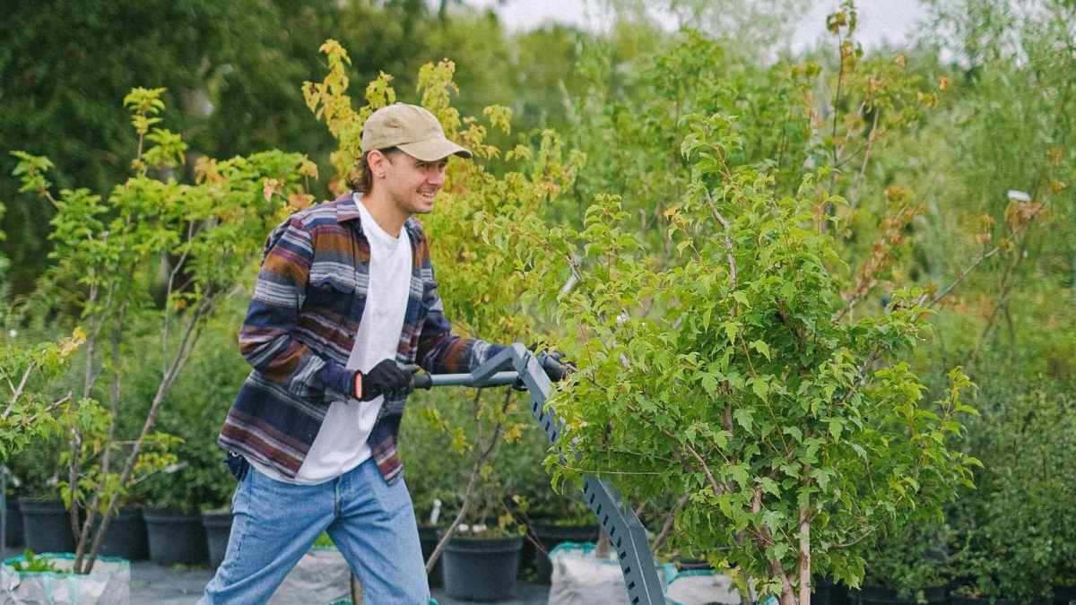 young landscaper working in the yard